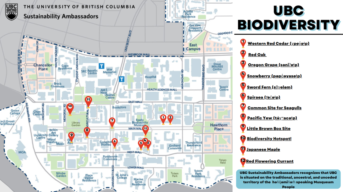 Biodiversity Map