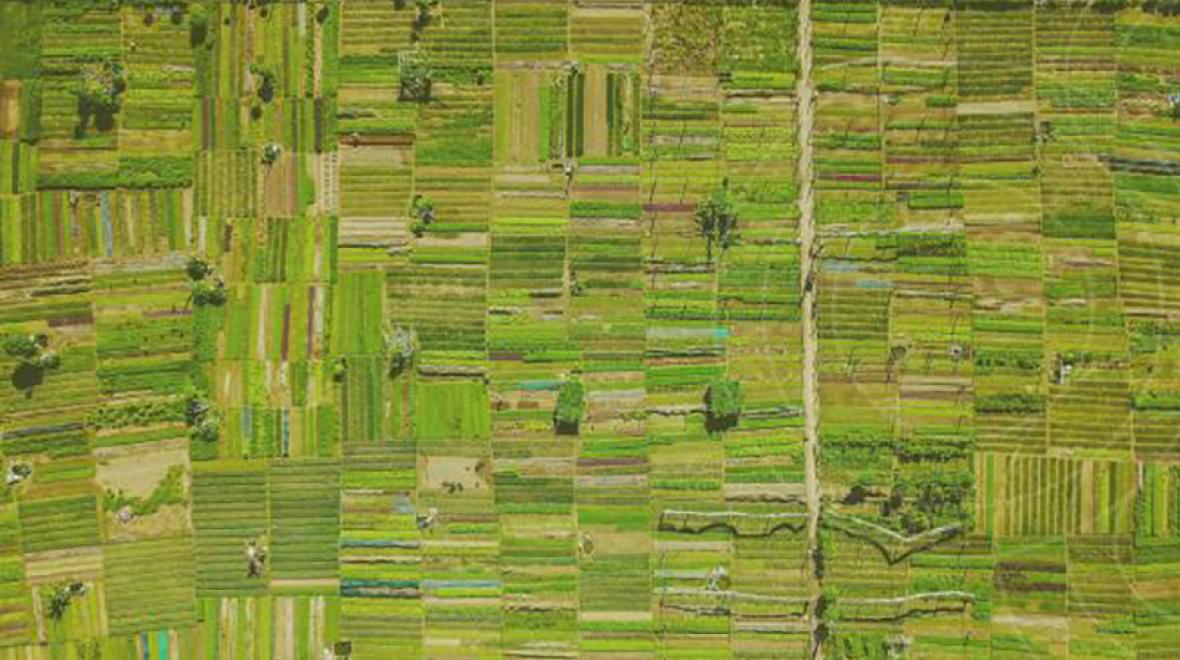 An aerial view of farmland